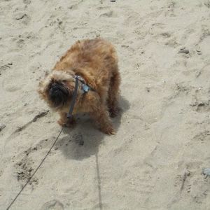 Meet your Posher, Lourdes